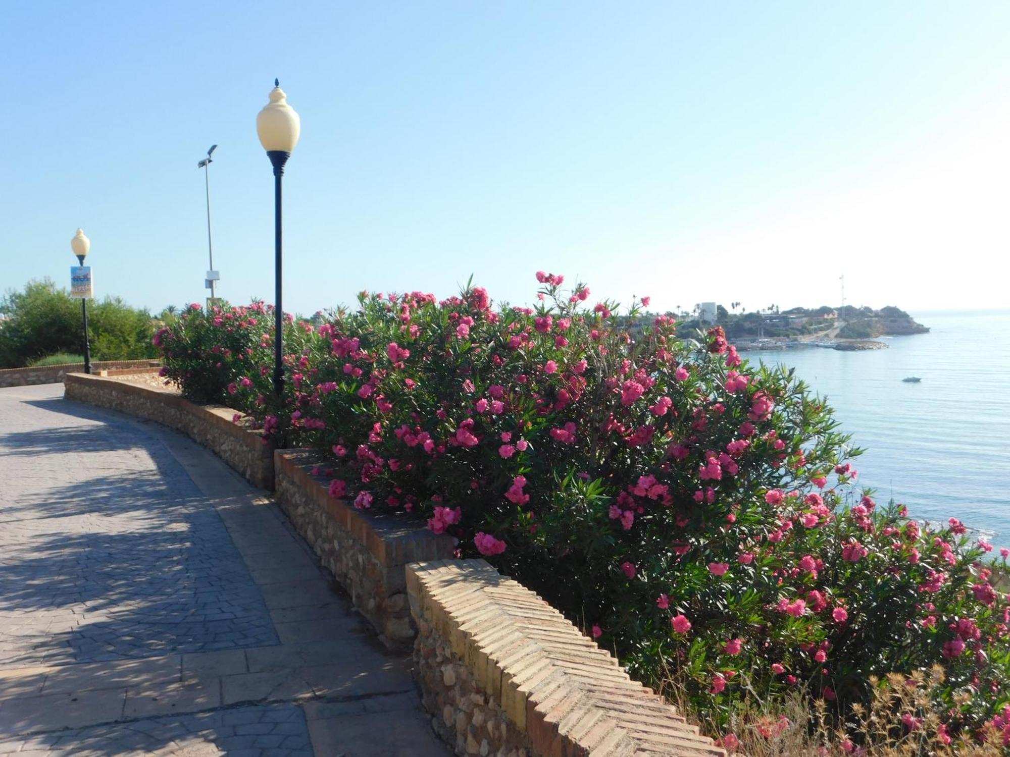 Playamarina I Lägenhet Cabo Roig Exteriör bild