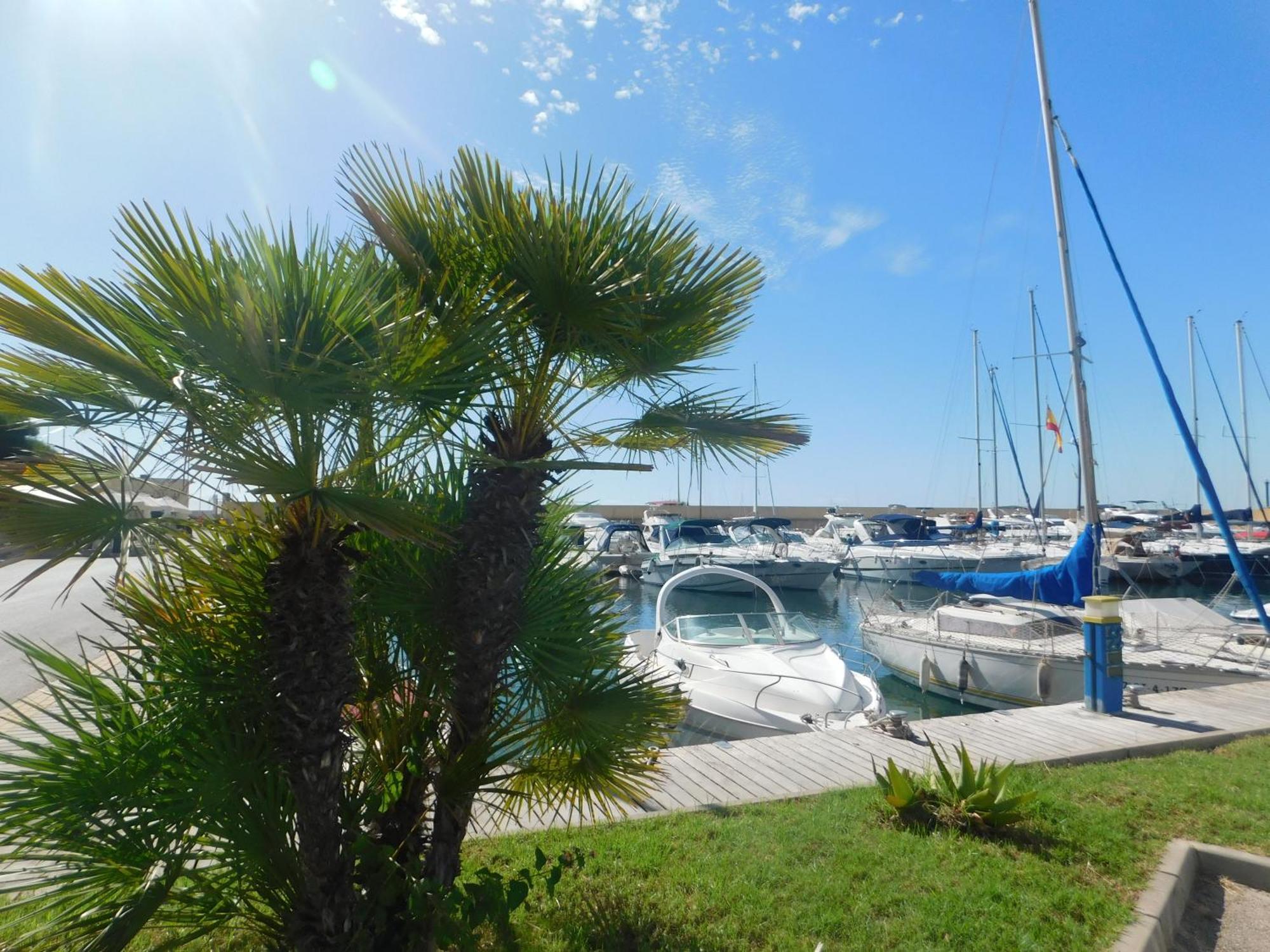 Playamarina I Lägenhet Cabo Roig Exteriör bild