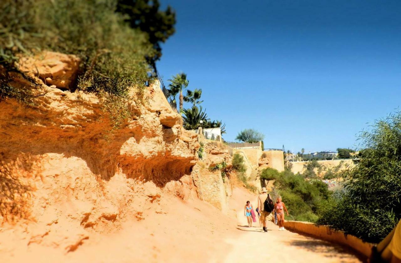 Playamarina I Lägenhet Cabo Roig Exteriör bild